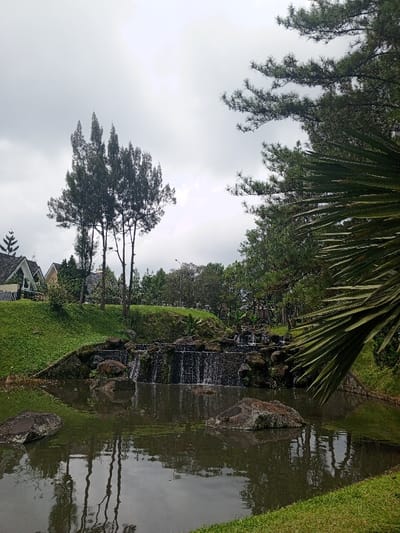The image displays a serene outdoor landscape, likely a park or resort, under an overcast sky. A dark, reflective pond dominates the lower half of the frame, with the clear reflections of tall trees and the cloudy sky visible on its surface. Several large, dark rocks are partially submerged in the pond.
Across the pond, a multi-tiered artificial waterfall cascades over dark rocks, feeding water into the pond. Lush green grass covers the gentle slopes surrounding the waterfall and extends upwards into the background. On the left side, a cluster of tall, slender coniferous trees stands prominently on a grassy knoll.
In the midground and background, the distinctive pointed roofs of several houses or buildings are visible on a higher elevation to the left, nestled among the greenery. Various other trees, including both coniferous and leafy types, form a verdant backdrop, with a street light faintly discernible amidst them. A large, spiky, palm-like leaf extends into the frame from the far right foreground, adding a sense of depth and framing the scene.
The sky is uniformly grey and overcast, suggesting a cloudy day. There is no visible human activity or any discernible text. The overall scene conveys a sense of tranquility and natural beauty, characteristic of a well-landscaped environment, situated in what could be Baza, Myanmar.