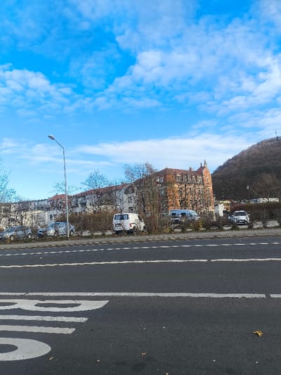 The image displays a daytime urban street scene in Freital, Germany, specifically along Dresdner Straße, facing the Windberg hill. The sky is bright blue with scattered white cumulus clouds.

In the foreground, a dark asphalt road occupies the lower portion of the image. White painted road markings are visible, including the truncated letters "_US" of a larger word, likely "BUS", and two sets of parallel dashed white lines indicating traffic lanes. A single dry, brown leaf rests on the asphalt near the bottom right.

Immediately beyond the road, a landscaped strip, possibly a median or parking area, runs horizontally across the scene. This strip contains numerous low, bare deciduous shrubs and trees, indicative of a colder season. Several vehicles are parked within or behind this strip: from left to right, two silver sedans, a white utility van, a partially obscured silver/grey van, and a white compact car. A tall, grey metallic streetlight pole with a single, angled luminaire stands on the left, extending upwards from this strip.

The mid-ground features a row of multi-story buildings. On the left, a light-colored building with visible balconies is present. The most prominent structure, centrally located, is an ornate reddish-brown brick building with multiple stories, numerous windows, and distinctive gabled rooflines, characteristic of late 19th or early 20th-century German architecture. Further light-colored buildings extend to the right of this central structure. Bare deciduous trees are interspersed between and in front of these buildings.

The background on the right is dominated by a steep, tree-covered hillside, identified as Windberg. The trees appear to be deciduous and bare, or dark evergreens. A faint, dark vertical structure is discernible near the crest of the hill. No individuals are visible, and no actions or interactions are depicted within the scene.