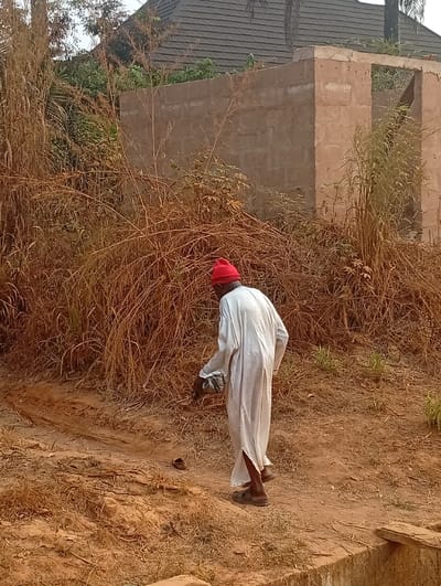 An outdoor, eye-level, full shot captures an adult male walking in a dry, undeveloped area, likely Omicha Umu Awada, Nigeria. The man is viewed from behind, dressed in a long, flowing white traditional garment, possibly a dashiki or jalabiya, and a vibrant red cap. He wears dark sandals and appears to be carrying a cloth or small object in his left hand. A single dark slipper or shoe lies on the reddish-brown earth near his feet.
The environment is characterized by abundant dry, tall, light-brown grass and shrubs that dominate the foreground and midground, suggesting a dry season. In the background, a partially constructed building made of concrete blocks stands without a roof or interior finishes, indicating ongoing development or a paused project. Further behind and above this structure, the dark, shingled roof of another house is visible amidst green foliage.
The ground is uneven, reddish-brown earth, with visible ruts and dried vegetation. In the lower right corner, a concrete slab or structure, possibly part of a drainage system, is partially visible. The scene is illuminated by natural daylight, likely mid-morning or late afternoon, under clear, sunny conditions. The overall impression is one of a rural or semi-rural landscape, reflecting local construction and environmental characteristics. There is no visible text in the image.
