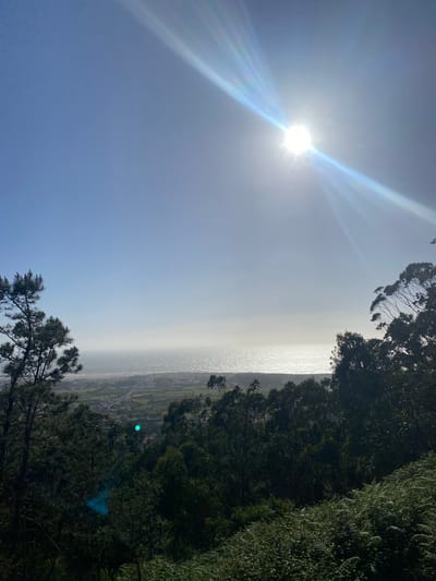The image shows a landscape with the sun shining brightly in the sky. The scene includes foliage on either side of the frame, suggesting a vantage point from a higher location. In the distance, a body of water, possibly the Atlantic Ocean, can be seen, with land visible along the coastline, suggesting the outskirts of Esposende, Portugal. A bright lens flare is visible near the bottom right corner of the image.