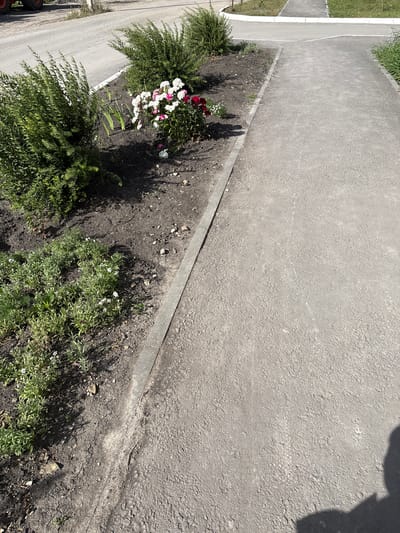 The media file shows a section of an asphalt pathway and an adjacent flower bed. The pathway is gray and textured, with some visible cracks and a curb separating it from the flower bed. The flower bed contains dark soil with several green plants and a cluster of white and pink flowers. Some fallen petals are scattered on the ground. Shadows are cast on the ground and pathway, suggesting it is a sunny day. To the left of the pathway, a strip of grass is visible. Part of a red vehicle with large wheels is visible at the bottom left corner of the frame. The scene appears to be outdoors, possibly in a public area or a residential garden, in Засечное, Russia. No people or text are visible in the image.