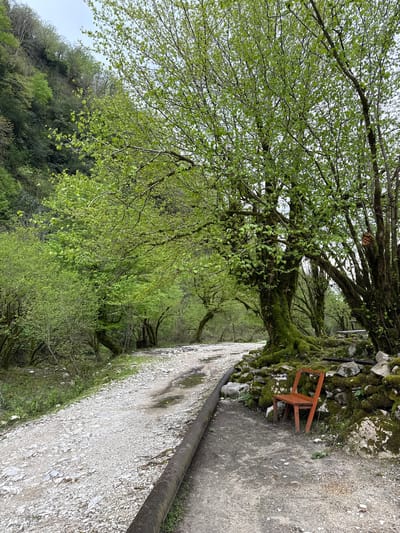 The image shows a gravel road in Pirveli Balda, Georgia, flanked by lush green trees on the left. A stone wall covered in moss runs along the right side of the road, with a dilapidated wooden chair positioned against it. A metal pipe runs horizontally along the right side of the road. The trees' branches form a canopy overhead, creating a shaded, tunnel-like effect.