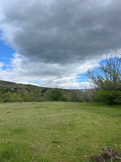 The image shows a landscape in Kornitsa, Bulgaria. A green field covered with small white flowers occupies the right half of the frame. A rocky hillside with sparse vegetation runs diagonally across the center. Above the hillside, the sky is visible, transitioning from patches of blue with white clouds to a large, dark storm cloud on the left. A few bare tree branches are visible at the top of the image.