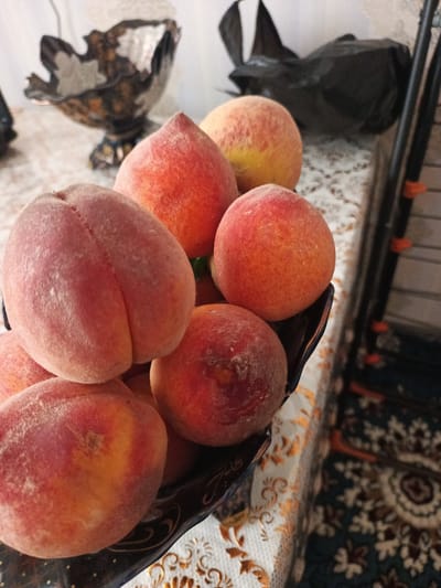 A close-up, indoor, eye-level shot displays a bowl of peaches on a patterned tablecloth. The peaches, predominantly red and yellow with a dusty texture, are clustered within a dark, ornate bowl. In the background, out of focus, are a decorative metallic bowl, a black plastic bag, and part of a rack with orange accents. The setting appears to be a home in Hakkulabad, Uzbekistan.