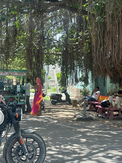 The image depicts a street scene in Ajmer, India, likely under a large banyan tree judging by the aerial roots hanging down. In the foreground, a motorcycle is partially visible on the left. To the left of the frame, there is a mobile cart with "नी ज्युस सेन्टर" (Ne Juice Center) written in Hindi, and a man is seen interacting with it. A woman in a bright pink and orange sari stands near the cart. Further back, a scooter is parked on the right side of the road. A group of men are seated on a pink bench on the right, some appearing to be resting or drinking. The environment suggests a warm, possibly dusty day with sunlight filtering through the tree's canopy, creating dappled shadows on the ground. The buildings in the background appear weathered.
