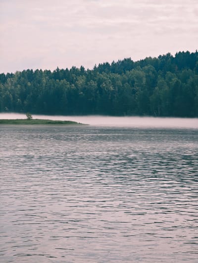 The image depicts a serene natural landscape with a body of water in the foreground and a dense forest bordering a misty shoreline in the background. The water exhibits gentle ripples, suggesting a calm atmosphere. A thin layer of fog hovers just above the water's surface, obscuring the base of the trees and creating a diffused effect. A small island, covered in green grass and featuring a single, isolated tree, emerges from the mist. The forest itself is lush and green, composed of a variety of coniferous trees. The sky above is overcast with soft, muted clouds. This scene is consistent with the natural environment found in and around the village of Atamanovo, Russia, which is known for its picturesque rural settings and proximity to natural water bodies and forests.