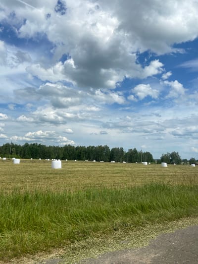 The image displays a field with rows of white, round hay bales. The bales are wrapped in white plastic and are scattered across the green, mown field. A line of trees borders the field in the distance, and a dirt road is visible on the right side of the frame. The sky is partly cloudy with a mix of white and grey clouds against a blue background. The scene suggests that the hay has recently been harvested and baled. The lighting indicates it is daytime, likely midday or afternoon, given the brightness of the sun. The overall impression is of a rural, agricultural landscape under a fair-weather sky. There is no visible text in the image.