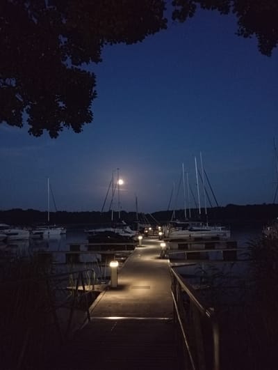 This image depicts a nighttime scene at a marina in Sztynort, Poland. A wooden pier with illuminated posts extends into dark water where several sailboats are moored. The moon is visible in the deep blue sky, casting a soft glow on the water and the sails. Trees with dark foliage are silhouetted against the sky in the upper left corner. The scene conveys a sense of quiet and tranquility.