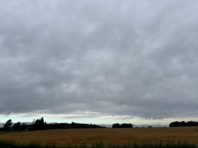 The image depicts a vast, overcast sky filling the majority of the frame, with heavy, gray clouds dominating the upper expanse. Below the sky, a horizon line is visible where the clouds transition to a pale, lighter blue, suggesting the presence of a distant light source or a break in the cloud cover. The middle ground of the image is occupied by a harvested field, appearing as a expanse of golden-brown stubble, indicating a recent agricultural activity. A dark, dense line of trees forms a natural border along the horizon, with some taller trees scattered throughout the landscape. Several thin, dark poles, possibly utility poles or fence posts, are sparsely distributed across the field and along the tree line. The foreground consists of the edge of another field or grassy area, with dark green vegetation visible at the very bottom of the frame. The overall atmosphere is subdued, with muted colors and a lack of direct sunlight, suggesting a cloudy or potentially approaching rain condition. The image appears to be taken in a rural setting, consistent with the geographical location of Капыльскі сельскі Савет, Belarus, known for its agricultural landscapes. There are no people or animals visible in the scene.
