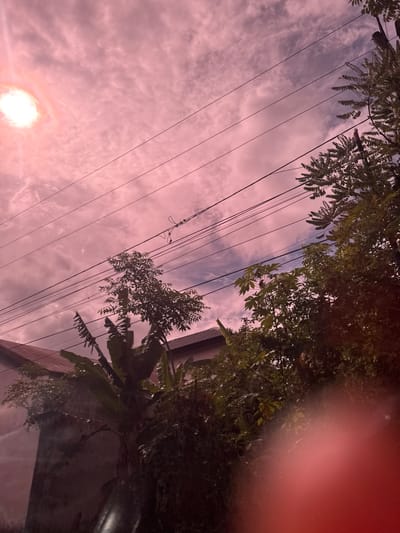 The image captures a dusky sky with a pinkish hue, suggesting either sunset or sunrise, over a residential area. The sky is partially obscured by a dense network of overhead electrical wires and a lush canopy of trees. In the foreground, on the left, part of a building with a reddish-brown tiled roof is visible. The vegetation appears dense and tropical, with large leaves of what could be banana plants interspersed with other foliage. The overall impression is one of a slightly hazy, possibly humid atmosphere, common in tropical urban environments. The location is identified as Buengbakjok, Indonesia. There are no people or animals visible in the frame. The lighting is soft and diffused, with a bright, out-of-focus light source, possibly the sun, visible in the upper left corner. The scene is static, depicting a moment of ambient light and natural elements within an urban setting.