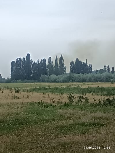 The image depicts a rural landscape under an overcast sky. In the foreground, a field of dry grass and scattered green vegetation stretches towards a line of trees in the mid-ground. These trees are tall and slender, forming a dense, dark silhouette against the hazy sky. Behind the prominent row of trees, a lighter green expanse of vegetation is visible. Towards the upper right of the image, a plume of dark smoke rises into the sky, indicating a potential fire or industrial activity in the distance. The overall mood is subdued, possibly due to the cloudy weather and the presence of smoke. The date and time stamp at the bottom right corner reads "24.06.2026 12:56". The location context is Chuy, Kyrgyzstan. There are no visible people or specific objects, just the natural elements of the landscape and the smoke plume.