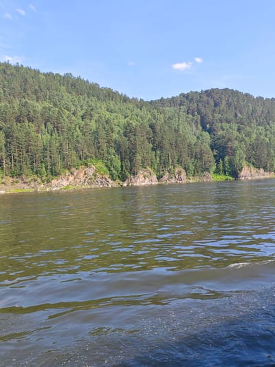 A wide, calm river occupies the lower half of the frame, reflecting the green forested hillside and the blue sky. The river's surface is disturbed by gentle ripples and some foamy wake in the foreground, suggesting movement. Along the far bank, a steep, rocky slope is densely covered with a variety of green trees, predominantly coniferous, reaching towards the clear blue sky. The overall scene depicts a natural landscape under a bright, sunny day. This location is within the city of Predivinsk, Russia.
