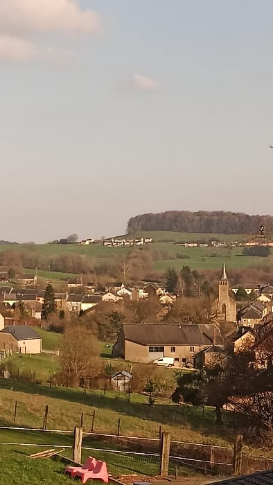 The image depicts a panoramic view of a village nestled within a valley surrounded by rolling hills, identified as Florenville, Belgium. The scene is observed under a light blue sky with two small, diffused white clouds.
In the foreground, a grassy slope is visible, partially obscured by a wooden fence with horizontal white wire or tape. A small, bright pink object, resembling a child's toy, rests on the grass near the bottom left. The dark roofline of a building is visible at the very bottom right.
The midground features the village, characterized by numerous residential buildings with varied roof colors, predominantly dark grey and brown. A prominent light-colored stone church with a tall, pointed spire is located towards the right of the village cluster. Interspersed among the houses are patches of green grass and numerous bare deciduous trees and shrubs, indicating either late autumn or early spring. A white van is parked next to a house with a large garage door, situated left of the church. A small, grey shed with a translucent roof is visible in a yard near the center.
The background consists of extensive rolling green hills. Additional scattered houses are visible on the distant hill slopes. A dense, dark green forest of predominantly bare deciduous trees crowns the highest hill on the horizon. No individuals are visible, and no discernible actions or interactions are occurring. The lighting suggests daytime, with sunlight illuminating the scene from the right.
