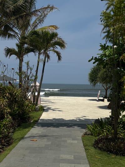 The image depicts a tropical coastal scene in Belalang, Indonesia, on a clear, sunny day. A grey-tiled pathway extends from the bottom of the frame, bordered by manicured green grass and dense tropical foliage, transitioning into a wider, light-colored paved area in the midground. Several palm trees and other lush greenery are prominent throughout the scene. On the left side of the paved area, a light-colored fabric tent or cabana with a peaked roof is visible. To the right, a spiky-leafed tree stands near a dark A-frame sign positioned on the paved surface. Beyond the paved area, the ocean extends to the horizon under a light blue sky, with visible white-capped waves breaking near the shore. Shadows from overhead trees are cast across both the grey-tiled and light-colored paved surfaces, indicating strong sunlight. A single brown leaf rests on the grey pathway in the lower left. No individuals are present.