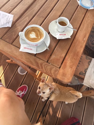 On a wooden table, two cups of coffee are placed. One is a cappuccino with latte art in the shape of a heart, and the other is a small cup of espresso. Beside the cups are packets of sugar. A white receipt is also on the table. A small, light brown dog is sitting on the wooden floor, looking up. A person's leg wearing a red sneaker is visible in the foreground. The scene is set outdoors, likely at a cafe in Qendër Vlorë, Albania, indicated by the presence of the coffee, the relaxed atmosphere, and the outdoor seating arrangement on a wooden deck.