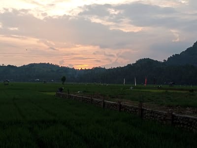 An eye-level, wide shot captures a serene sunset over a lush green rice paddy field in Uleejalan, Indonesia. The sky is awash with soft hues of orange, pink, and pale grey clouds, with the sun peeking through the horizon, casting a warm glow. In the foreground, the vibrant green rice stalks stretch across the frame, with a low, rough stone wall running horizontally across the mid-ground. Beyond the wall, the field continues, dotted with small structures, including a simple hut on the left and several tall, narrow flags of red and white planted in the soil. A dark, densely forested hill or mountain range forms the backdrop, its silhouette rising against the twilight sky. The overall atmosphere is peaceful and tranquil, indicative of a rural landscape at dusk.