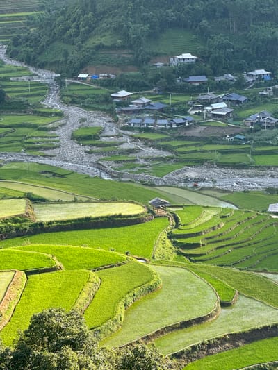 This aerial view captures a vibrant agricultural landscape in Tu Le, Vietnam, under clear daylight. The foreground and midground are dominated by numerous tiers of meticulously cultivated terraced rice paddies, displaying a spectrum of vivid green hues. Some paddies are densely planted with young rice, exhibiting textured surfaces, while others are partially flooded, creating reflective surfaces. A small, open-sided wooden hut with a dark roof is centrally located among the terraced fields on the left.
A wide, irregular riverbed, largely composed of grey rocks and pebbles, meanders through the midground, with a narrow stream of water flowing within it. On the far side of the river and extending up the lower mountain slopes, a village settlement is visible. This village consists of numerous houses with diverse architectural styles; some feature dark, possibly tiled or corrugated roofs, while others have lighter, possibly concrete or metal roofs, with a few appearing to be under construction. A winding dirt path or road connects parts of the village. The background features steep, densely forested mountains, indicating a rich natural environment. No people or animals are explicitly discernible within the frame.