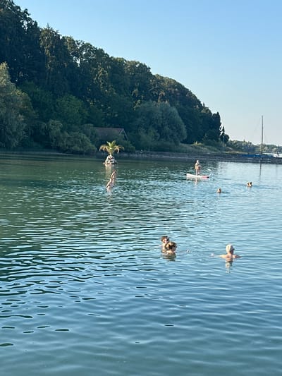 In Gstadt am Chiemsee, Germany, a body of water is depicted under a clear blue sky. The water is calm, with gentle ripples creating a textured surface. On the far side of the water, a dense line of trees forms a dark green backdrop against the sky. A small, rustic building with a dark roof is visible nestled within the trees, and a single palm tree stands on a small mound in front of it.

Several people are engaged in water activities. In the foreground, on the right, an adult with grey hair is swimming. To their left and slightly further back, two adults and a child are in the water, with the adults' heads and shoulders visible. In the middle ground, a person is standing on a paddleboard. Further back still, several other individuals are swimming or wading in the water. A dog is also visible in the water, swimming near a person. In the distance, a sailboat mast is visible above the tree line, indicating proximity to the shore and potentially other boats. The overall scene suggests a peaceful summer day at a lake or similar body of water.
