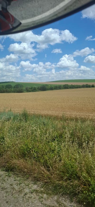 The image depicts a landscape scene, oriented vertically, showcasing a vibrant blue sky filled with fluffy white clouds on the left side. The right side of the image is dominated by a field of golden wheat, appearing ripe and ready for harvest. Adjacent to the wheat field is a strip of lush green vegetation, possibly grass and wildflowers, with some dried stalks interspersed. A line of trees marks the transition between the green vegetation and the wheat field, creating a distinct border. In the lower left corner, a portion of a vehicle's windshield or helmet is visible, reflecting the sky and clouds. The scene suggests an outdoor setting, likely in a rural area, with agricultural fields. The bright sky and sunlight indicate it is daytime, likely mid-morning or afternoon, with fair weather. The overall impression is one of a peaceful, natural environment. No visible text is present in the image. The location context is Kozar Belene, Bulgaria.