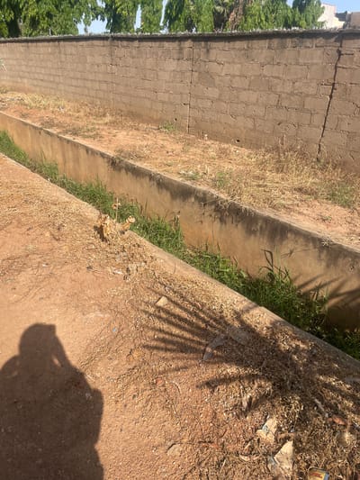 The media file depicts an outdoor scene, likely a drainage channel with dry grass and some green vegetation. The dominant subjects are the concrete structures forming the channel, the surrounding dry and sparse vegetation, and the earth and gravel path. There are no people or clear objects visible, apart from some indistinct debris scattered on the ground.

The setting appears to be a somewhat neglected area, possibly a roadside or an undeveloped plot, given the presence of a brick wall in the background and the mixture of dry and sparse green growth. The time of day is suggested by the strong shadows cast by what appears to be a tree or a structure, indicating it is likely daytime, possibly late morning or afternoon when the sun is high. The weather appears to be dry, as evidenced by the abundance of dry grass and the parched earth.

There is no discernible activity or event taking place. The scene is static and appears to be an unposed snapshot of the environment. The overall mood conveyed is one of ordinariness and possibly a touch of desolation due to the dry conditions and apparent lack of upkeep.

Location cues, such as the brick wall and the type of vegetation, combined with the provided location context of Wauro Jabbe, Nigeria, suggest a tropical or subtropical climate. No visible text is present in the media file.