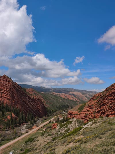 This vertical wide-angle shot captures a dramatic mountain landscape, likely in Jeti-Ögüz, Kyrgyzstan, characterized by striking red rock formations and a verdant valley. The scene is dominated by two massive, layered red cliffs flanking a central valley. The cliff on the left shows prominent horizontal striations, while the one on the right features more textured, eroded rock.
The sky is a vibrant blue, partially covered by scattered, fluffy white cumulus clouds, indicating fair weather and bright daylight. The sun appears to be high in the sky.
The valley floor contains a dirt or unpaved road that winds alongside a small river or stream. Lush green vegetation, including tall conifer trees, lines the base of the left cliff and extends along the riverbank. Other slopes are covered in lighter green grass and scrub, with patches of yellow wildflowers visible in the foreground on the right.
Small, rustic buildings or structures are sparsely distributed along the road and river in the valley, suggesting a modest settlement or facilities. Utility poles or lamp posts are also visible along the roadside. In the distance, layers of green and reddish-brown mountains extend to the horizon, adding depth to the panoramic view.
No people or identifiable text are visible in the image. The overall impression is one of majestic natural beauty and geological grandeur, with a hint of human presence within the vast landscape.