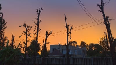 The image displays an outdoor scene in Longuo 'A', Tanzania, at either sunrise or sunset, characterized by a gradient sky transitioning from a dark purple-blue at the top to a bright orange-yellow near the horizon. In the foreground and midground, numerous tall, dark, silhouetted deciduous trees, mostly bare or heavily pruned, stand prominently, with multiple dark utility lines horizontally crisscrossing between them. Dense dark green foliage is visible on the far left. A low, light-grey concrete wall or fence extends horizontally across the lower midground. Behind this wall, a light-colored two-story building with visible windows and balconies is centered in the midground. To the left of this building, a smaller structure with a dark pyramidal roof is partially visible. Additional trees with dark foliage are present in the background. No individuals are visible.