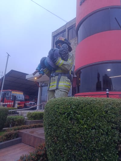 The scene depicts the exterior of a fire station in Sangolquí, Ecuador, under an overcast sky. In the foreground, a large, multi-colored statue of a firefighter stands, clad in tan and yellow bunker gear with reflective striping, a helmet, and a breathing apparatus mask. The firefighter figure is depicted carrying a small child with dark hair and blue clothing in his left arm.
To the immediate right of the statue, a distinctive cylindrical building section with a red facade and dark, curved reflective windows is visible. A black metal railing with decorative finials runs along the base of this structure. Behind and to the left of the statue, a multi-story building with a light-colored, possibly stone or concrete block facade and rectangular windows is present. Further left, an open-sided bay area with a dark, sloped roof shelters several red fire department vehicles. A prominent red bus-style fire engine with "BOMBEROS" (Spanish for Firefighters) written in white on its front is clearly visible, with a smaller red pickup truck (resembling a Dodge Ram) partially obscured behind it.
The immediate foreground features neatly trimmed green hedges and tiered garden beds containing smaller green and reddish-leafed plants, indicating landscaping around the building. Concrete or stone steps are also visible within the landscaping. A street light pole stands on the far left. The overall lighting is dim and diffused, consistent with an overcast day.