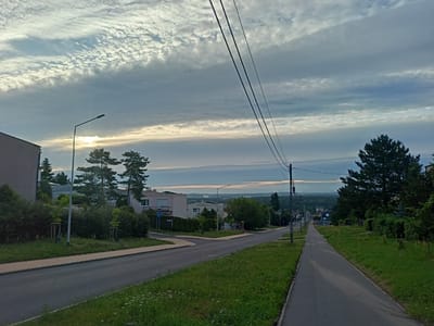 The image depicts a street scene in Grudziądz, Poland, under a cloudy sky with the sun attempting to break through. The foreground shows a paved road and a separate pedestrian path, bordered by grassy areas with scattered wildflowers and young trees. In the midground, a residential street intersects, with houses visible on either side, some featuring pitched roofs and windows. Streetlights are present along the road. Trees, including coniferous and deciduous varieties, are scattered throughout the scene, with a large coniferous tree dominating the right midground. Power lines stretch diagonally across the upper portion of the image. In the background, a hazy landscape with rolling hills and distant structures is visible. The overall impression is one of a quiet suburban or semi-rural environment.