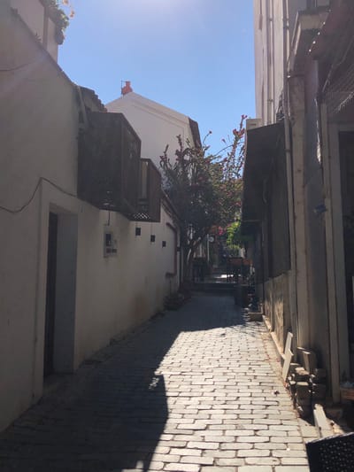 The image shows a narrow, cobblestone alleyway in Kaş, Turkey. The alley is flanked by buildings with whitewashed walls on the left and weathered, concrete-like walls on the right. A flowering tree with pink blossoms is visible in the middle of the alley. In the background, several tables and chairs are set up, suggesting an outdoor seating area for a cafe or restaurant. The sun is shining brightly, casting a long shadow across the cobblestones. A few small objects, possibly fallen petals or debris, are scattered on the ground. The sky is a clear, bright blue.