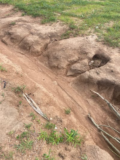 This is a photograph of a natural scene in Tavo, Nigeria. The foreground shows sandy soil with patches of green grass and some dry, fallen leaves. There are also several dry branches scattered across the sand. In the mid-ground, there is a large, rough-textured rock formation with an indentation that appears to be a small hollow or depression. A small, light-colored lizard is visible on the surface of this rock. The background is mostly out of focus, but appears to be more of the sandy terrain and some sparse vegetation. The lighting suggests it is daytime, with the sun casting subtle shadows. The scene is natural and undeveloped, possibly an outdoor area in a rural or semi-natural setting. No people or text are visible.