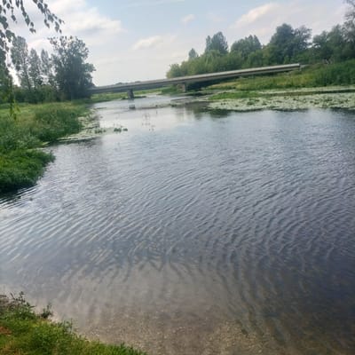 The image shows a body of water, likely a river, in Berestechko, Ukraine. A bridge spans the water in the background, connecting the two banks which are lined with lush green trees and vegetation. The water's surface is rippled, reflecting the overcast sky. Along the near bank, the water is shallow and clear, revealing a gravelly bottom. The overall scene is tranquil and natural.