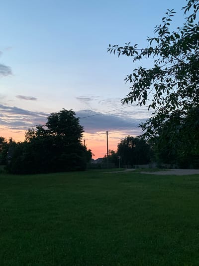 This is a full shot, taken from a slightly low angle, of a grassy field in front of a backdrop of trees and a twilight sky. The sky is a gradient of pale blue to soft pink and orange, with scattered, wispy clouds. In the middle ground, several large trees are silhouetted against the sky, with a few houses and a power pole visible behind them. A fence runs along the edge of the property in the background. The foreground is dominated by a neatly mowed, green lawn. The overall impression is one of a peaceful, rural evening in the village of Orlevsky Sel'sky Soviet, Belarus.