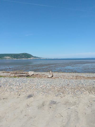 The image depicts a coastal landscape under a clear blue sky, with a thin contrail visible in the upper portion. The foreground is a beach composed of sand and gravel, with a few pieces of driftwood. A larger log lies horizontally across the gravelly section. Beyond the beach, a shallow body of water stretches towards a distant, tree-covered hill or mountain range. The water's surface shows ripples and patterns indicative of receding tides or shallow depths. The overall scene suggests a natural, undeveloped coastal area. This landscape is consistent with the coastline near Magadan, Russia, which is known for its rugged terrain and proximity to the Sea of Okhotsk.
