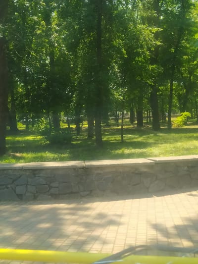 The image depicts a sun-dappled park scene in Shpola, Ukraine. A low stone wall separates a paved walkway from a grassy area with scattered trees. Sunlight filters through the lush green foliage, casting shadows on the light-colored paving stones. The trees are mature, with dense canopies. In the foreground, a bright yellow bar is visible at the bottom of the frame. No people are visible in the image.