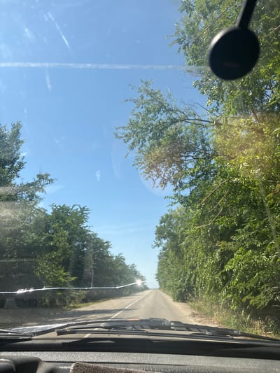 The image depicts a view from inside a vehicle traveling on a paved road lined with dense green trees on either side. The road ahead curves slightly and leads to a vanishing point in the distance under a clear blue sky. Sunlight filters through the trees, creating bright spots and reflections on the windshield. The foreground shows the dashboard and windshield wipers of the vehicle. There are no people or other vehicles visible in the immediate vicinity. The environment suggests a rural or semi-rural setting. The specific location in the city of Novoaleksandrovsk, Russia is not determinable from the visual information provided in the image.