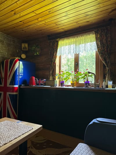 A rustic kitchen with wooden paneled walls and ceiling features a Union Jack-decorated refrigerator, a red kettle, and a small Marshall speaker on a dark green countertop. A window above the sink is adorned with lace curtains and patterned drapes, revealing a view of green trees. Several potted plants with red flowers sit on the windowsill, alongside a faucet, soap dispenser, and a glass of light-colored liquid. In the foreground, a wooden table with a textured placemat is visible, and a portion of a dark blue chair is in the lower right corner. The overall scene suggests a cozy, possibly rural, domestic setting.
