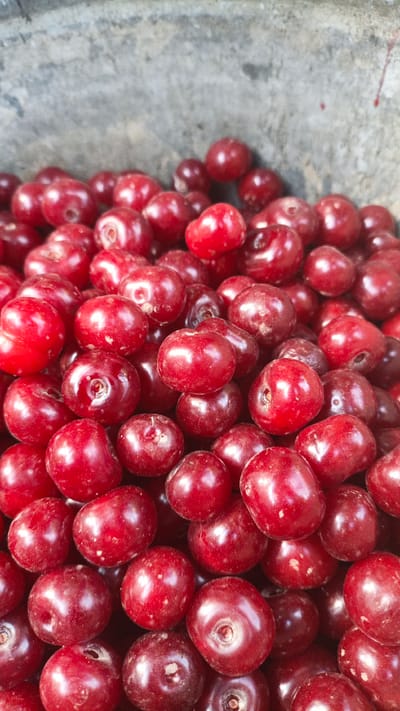A close-up, high-angle shot captures a pile of ripe, deep red cherries overflowing from an unseen container. The cherries are plump and glossy, with some showing small indentations where stems were once attached. The background is a rough, textured surface, appearing to be concrete or stone, in muted gray and brown tones. The lighting is natural, casting subtle highlights on the fruits. The scene is set in a market or stall, likely in Нуъмон Розиқ, Tajikistan, a region known for its fruit production, suggesting a fresh harvest ready for sale. There are no people or animals visible in the frame.