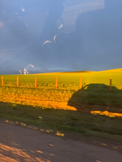 The image depicts a rural landscape in Russia, likely near Додо-Ичётуй. The scene is divided into distinct sections. On the left, a bright blue sky dominates, reflecting on a surface that appears to be a window or a car windshield. Within this reflection, abstract shapes and streaks of light suggest the interior of a vehicle.

The central and right portions of the image showcase a vast, sunlit field. The field is covered in green vegetation, possibly crops or pasture, illuminated by the warm glow of the sun, indicating it is either sunrise or sunset. Several cylindrical hay bales, appearing orange and closely spaced, are scattered across the field, aligned in rows and supported by thin posts and wires, forming a fence line. The low angle of the sun casts long shadows across the field and onto a dirt path or road that runs along the right edge of the image. The road itself is a muted gray with dappled highlights from the sunlight. The overall atmosphere is peaceful and serene, characteristic of a rural setting at golden hour. There is no visible text in the image.