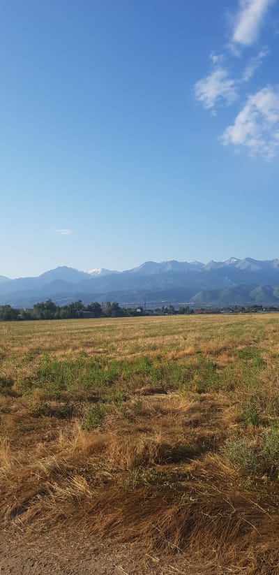 The image depicts a vast, dry grassy field in the foreground, with patches of green vegetation interspersed. In the middle ground, a line of trees separates the field from a distant city, which appears to be nestled at the base of a majestic mountain range. The mountains themselves are rugged and imposing, with some of their peaks capped with snow, suggesting a significant altitude. The sky above is a clear, bright blue, with a few wispy clouds scattered across it. The overall impression is one of natural beauty and vastness, with a hint of human settlement in the distance. The photograph is taken from a low angle, looking across the field towards the mountains.