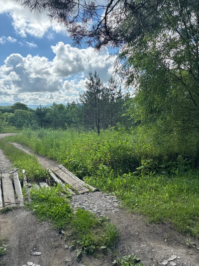 This is a photograph taken outdoors, likely on a sunny day with some clouds in the sky. The scene depicts a dirt road or path that curves to the left, bordered by lush green vegetation on the right. On the left side of the road, there are remnants of a makeshift wooden bridge or crossing, constructed from logs and planks, which appears to be in disrepair. The vegetation consists of tall grasses, reeds, and some trees in the background, including pine trees. The sky is visible in the upper portion of the image, with scattered white cumulus clouds against a blue backdrop. The overall impression is a natural, rural or semi-rural environment.