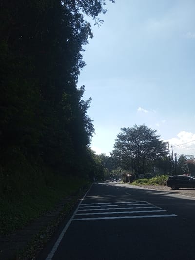 The image displays a road scene in Ka Thaung (Upper), Myanmar, under a clear blue sky with minimal cloud cover. The paved asphalt road, marked with a white pedestrian crossing (zebra stripes) in the foreground, extends into the distance. On the left, a steep, heavily vegetated embankment covered in dark green foliage rises sharply, predominantly in shadow. A narrow dark strip, possibly a ditch or unpaved path, runs between the embankment and the road. On the right side of the road, a large, leafy tree with a full canopy is prominent, receiving direct sunlight. Further down the road on the right, a dark-colored SUV or similar vehicle is parked on the shoulder, oriented away from the camera. Beyond the parked vehicle, utility poles with overhead wires are visible, along with scattered buildings and additional trees. Multiple vehicles, including cars and at least one motorcycle, are observed traveling in both directions further along the road in the mid-ground. The scene is brightly illuminated, indicating daylight conditions.