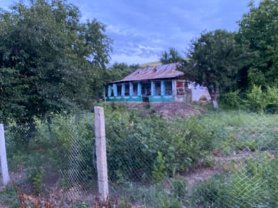 An outdoor, medium-distance shot captures a slightly dilapidated, single-story house with a rusted, corrugated metal roof. The house features a blue and white porch with supporting pillars. It is situated amidst lush green trees and vegetation. In the foreground, a wire mesh fence is supported by concrete posts, suggesting a boundary around the property. The sky is overcast with diffused lighting, indicating either dawn or dusk. The overall scene depicts a rural or semi-rural setting.