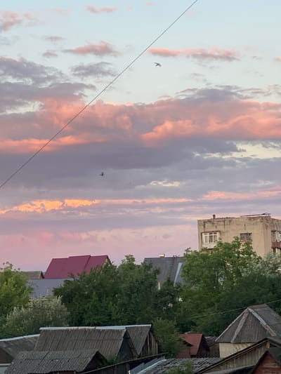 A low-angle medium shot captures a view of rooftops, trees, and a building against a backdrop of a twilight sky filled with pink and purple clouds. The sky dominates the upper portion of the image, with a thin, dark wire stretching diagonally from the top left to the center. Several birds are visible in flight. In the mid-ground, a multi-story building with a weathered facade and visible windows stands amongst lush green trees. Below this, various rooftops of houses, some with red or grey angled roofs, are visible, interspersed with more trees. The foreground features more rooftops, appearing older and constructed from materials like corrugated metal. The scene is set in the city of Khust, Ukraine.