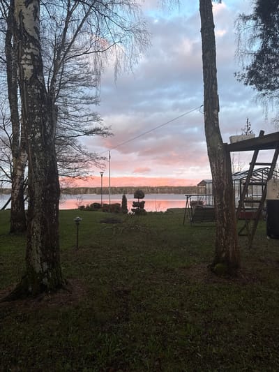 The photograph presents a sunset scene over a body of water, likely a lake, in Baltezers, Latvia. The sky is filled with pink and gray clouds reflecting onto the water's surface. In the foreground, two birch trees frame the scene with their bare branches reaching into the sky. The ground is covered in green grass and some dead leaves.

In the background, across the lake, there are trees and possibly some buildings silhouetted against the sunset. There is a lamppost and a flagpole visible on the shore. A wooden structure, possibly a greenhouse or a shed, is partially visible on the right side of the frame. A hanging chair can be seen next to it. A thin wire is strung between the trees in the foreground.