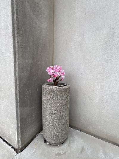 A decorative pink flowering artificial tree is in a cylindrical concrete planter. The planter is situated in the corner where two concrete walls meet, at an outdoor location in the city of Vaughan, Canada. The ground surface is concrete and appears to have some cracks. The lighting suggests an overcast day.