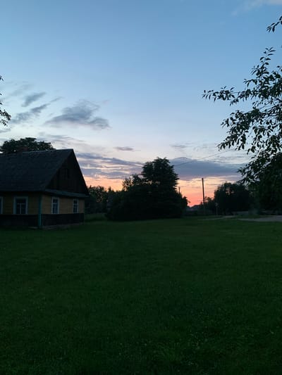 This is a photograph of a rural scene in the Орлеўскі сельскі Савет, Belarus, taken at dusk. The sky is a gradient of pale blue to a soft pink and orange hue near the horizon, indicating the sunset. Scattered clouds are visible in the upper portion of the sky.
In the foreground, a well-maintained grassy lawn dominates the lower half of the image. To the left, a traditional wooden house with a dark, corrugated roof and yellow siding is partially visible. The house has at least two windows with white frames. A darker foundation is visible at the base of the house.
The midground is characterized by dense, dark green trees. A single utility pole with wires is positioned centrally in the image, near the tree line. Further in the distance, more trees and a faint outline of other structures are discernible. The right side of the image features branches of a deciduous tree with dark leaves silhouetted against the sky, partially obscuring the view of the sunset. A road or path is visible in the distance, with a road sign.
The overall atmosphere is tranquil and indicative of a rural evening in Belarus. No people are visible in the image, and no specific actions are depicted. The focus is on the natural landscape and the architecture of the rural dwelling.
