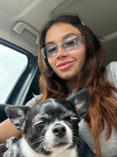 A young woman with long brown hair, wearing frameless eyeglasses and a gray top, is holding a black and white dog close to her face. They appear to be inside a car. The car's interior details include a gray ceiling, a black window frame, and a white hand grip on the ceiling. The location, Nesher, Israel, cannot be confirmed based on the visual data provided in the image.