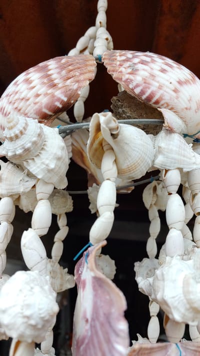 A close-up shot depicts a handcrafted seashell wind chime. The wind chime is assembled from a variety of shells, including large, striped shells and smaller, white shells. They are connected by strings of cylindrical beads. The background is blurry, suggesting an indoor location. The origin information specifies this image was taken in La Joya, Mexico.