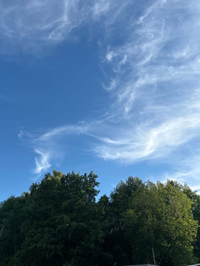 The image is an outdoor shot looking up at a bright blue sky with scattered wispy white clouds. On the right side of the frame, the tops of lush green trees are visible. The trees appear dense and full of leaves, suggesting a warm season. The angle of the sun and the quality of light suggest it is daytime, likely late morning or afternoon. There are no people or specific objects that stand out in the foreground or background. The scene is a natural setting, possibly a park, forest edge, or residential area with mature trees. The sky is clear for the most part, with the cirrus clouds adding a delicate texture. The overall mood is peaceful and serene, evoking a feeling of looking up on a pleasant day. There is no visible text in the image.
