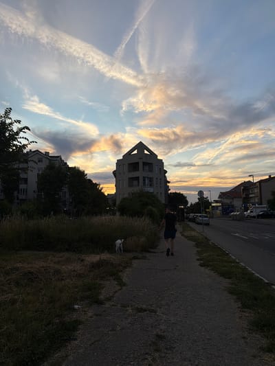 The image depicts an urban street scene during sunset, located in the Cukarica Urban Municipality, Serbia. In the foreground, a gravel pedestrian path occupies the lower center and right, bordered by an unkempt strip of dry grass and weeds on the left. An adult male, seen from behind in silhouette, walks away from the camera on this path, wearing a dark t-shirt and dark shorts. He holds a leash in his left hand, connected to a medium-sized white dog, also in silhouette, walking ahead of him and slightly to his left.
In the midground, a paved road runs parallel to the path on the right, with multiple parked cars lining its side. A circular road sign stands between the path and the road. On the left midground, several multi-story residential buildings with balconies are partially obscured by a dense line of trees. In the center midground, a distinct modern building with a prominent, angular, triangular roofline is visible, appearing to be an apartment or mixed-use building.
The background on the right side of the road reveals additional residential and commercial structures, including one with "SKOLSKA SCHOOL" partially legible on its facade. Streetlights and utility poles are also visible along the road.
The sky, occupying the upper portion of the image, displays warm sunset hues of orange, yellow, and grey clouds near the horizon, transitioning to a light blue overhead. Several distinct white contrails from aircraft are present, including one long trail extending diagonally from the upper left and another forming a partial 'X' shape in the upper right quadrant. The overall lighting casts the foreground and midground in shadow, silhouetting the man and dog against the brighter sky.